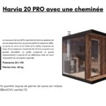 20 pro